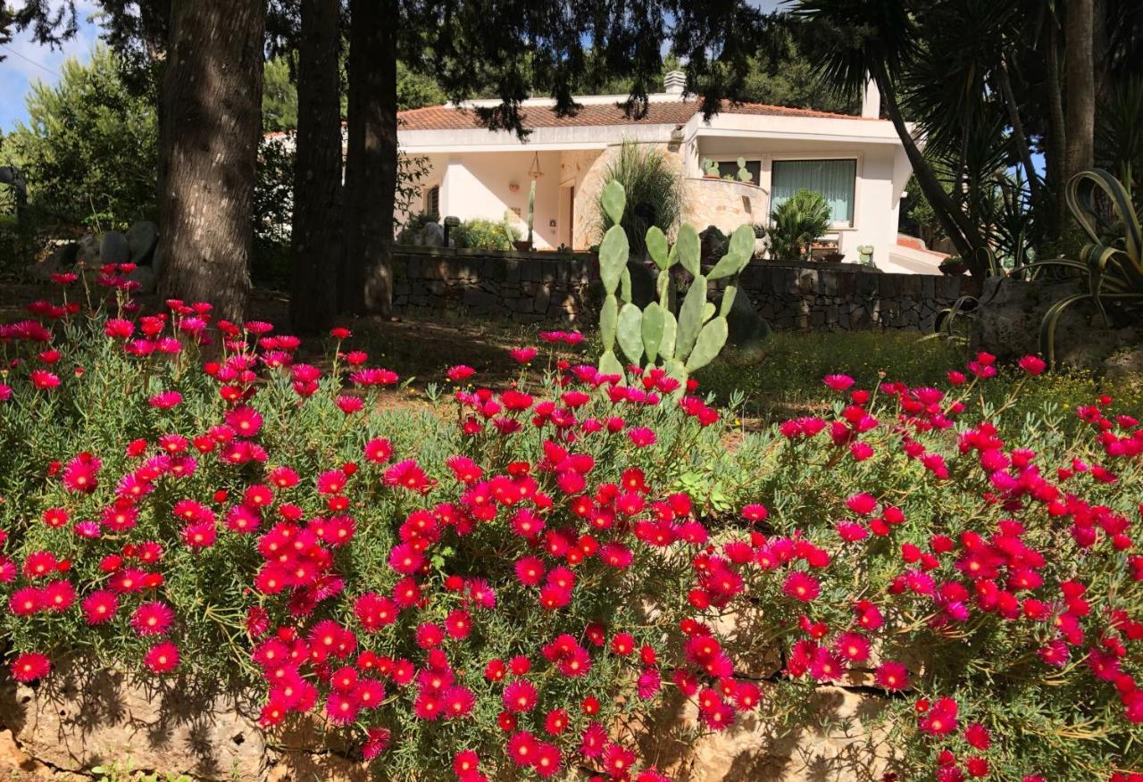 شقة Casa 34 سيغلي ميسابيكا المظهر الخارجي الصورة